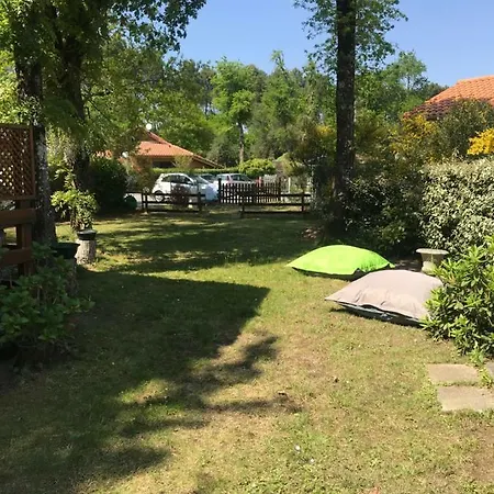 Chalet Des Ours Holiday home Gujan-Mestras