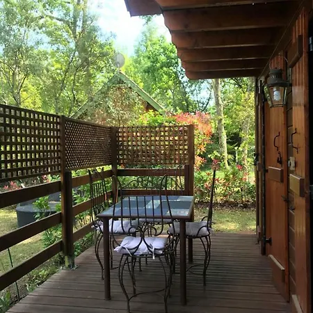 Chalet Des Ours Gujan-Mestras